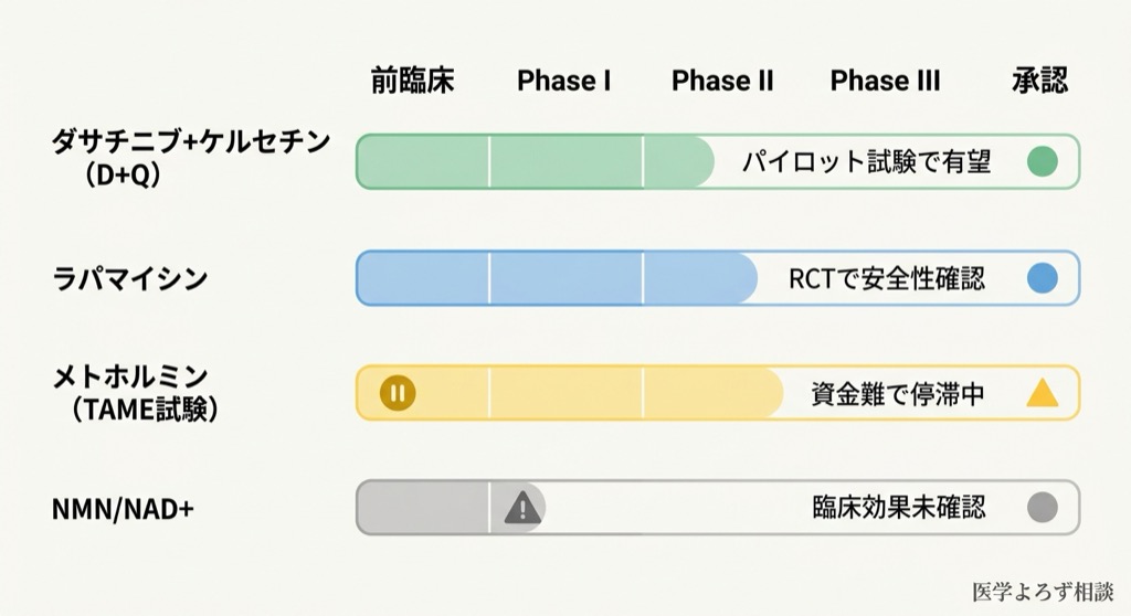 長寿薬候補の臨床試験パイプライン比較。D+Q、ラパマイシン、メトホルミン、NMN/NAD+の4薬剤の開発段階とエビデンスレベルを一覧で比較