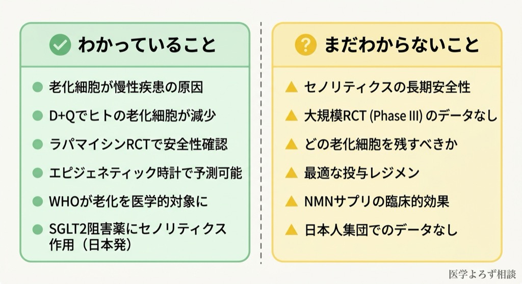 長寿科学の現在地マップ。確立された知見（老化細胞の除去、RCTでの安全性確認等）とまだわからないこと（長期安全性、大規模RCTなし等）を対比した図