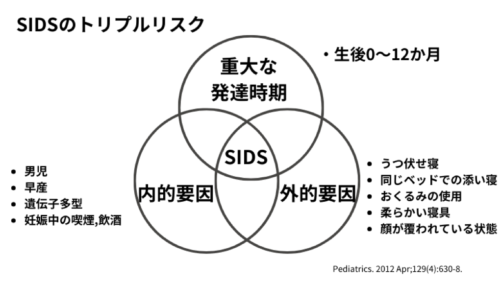 SIDSのトリプルリスクモデル図