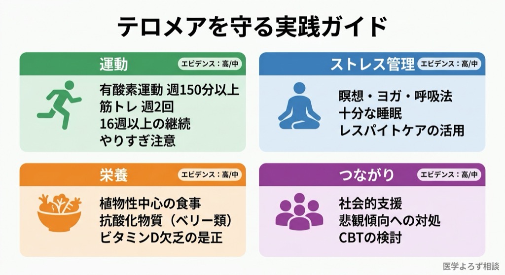 テロメアを守る実践ガイド：運動、ストレス管理、栄養、つながりの4つの柱